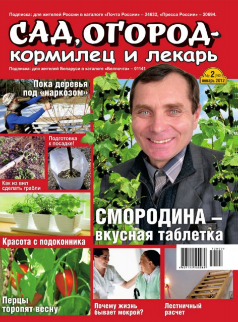 Сад газеты. Газета сад и огород. Газеты про сад. Сад-огород газета Волгоград. Газета лекарь.